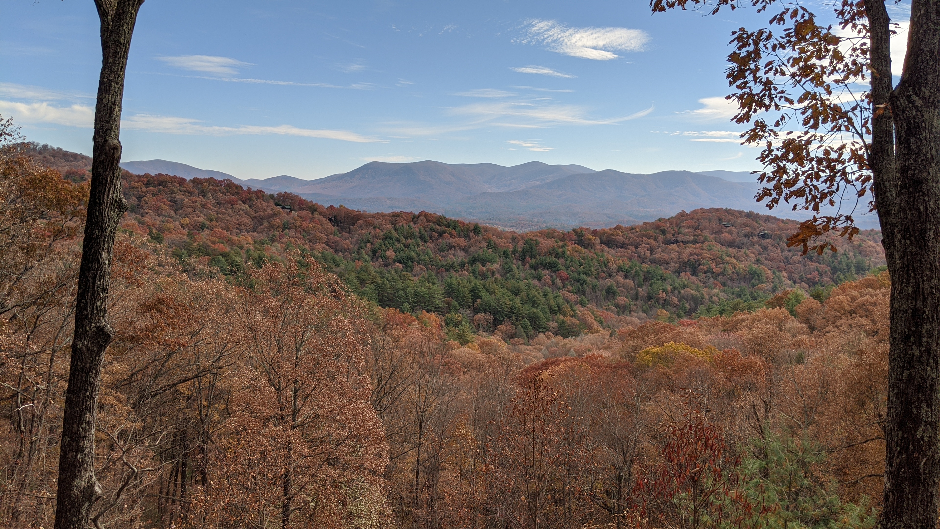 More of the fall color that makes Ellijay feel famous.
